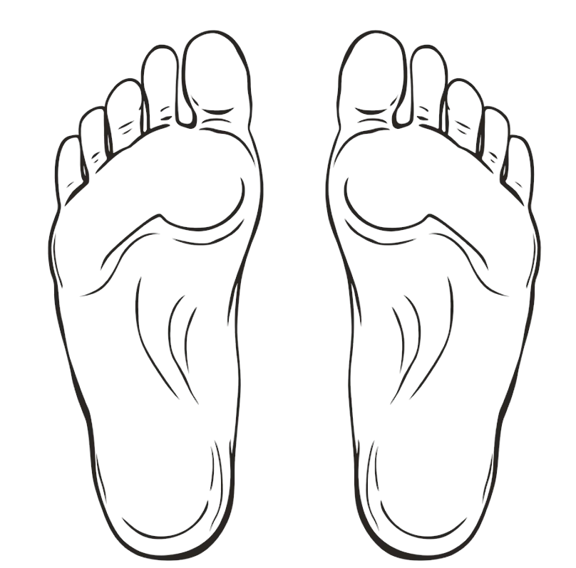 Outline of the soles of both feet